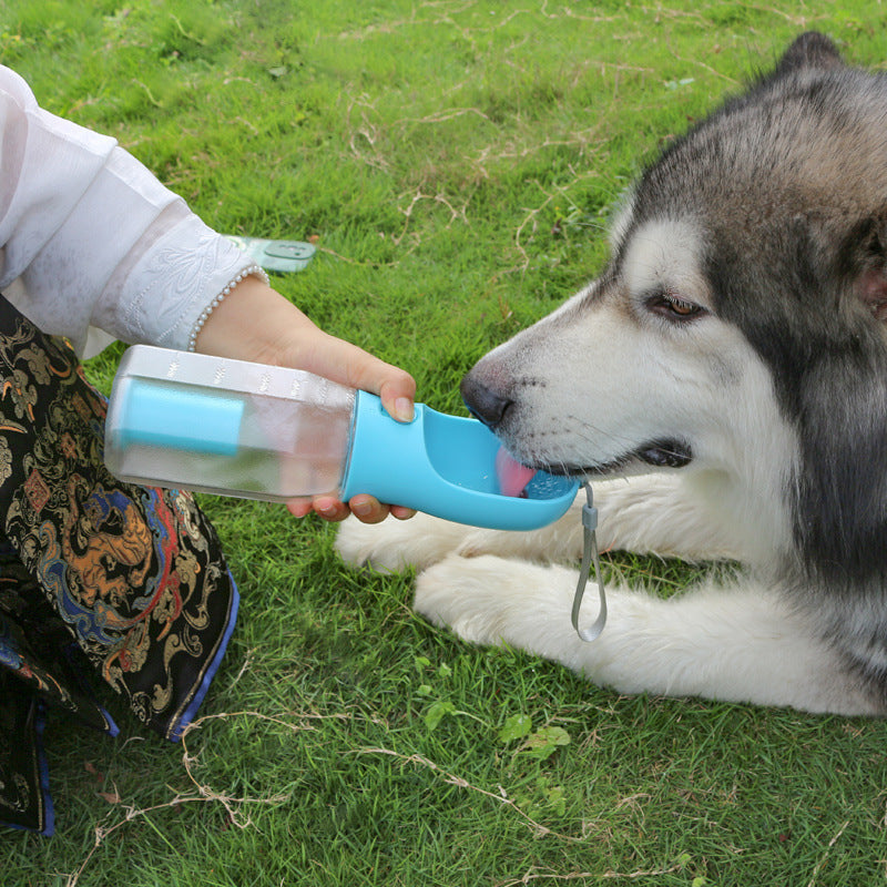 The 3 in 1 Dog Bottle